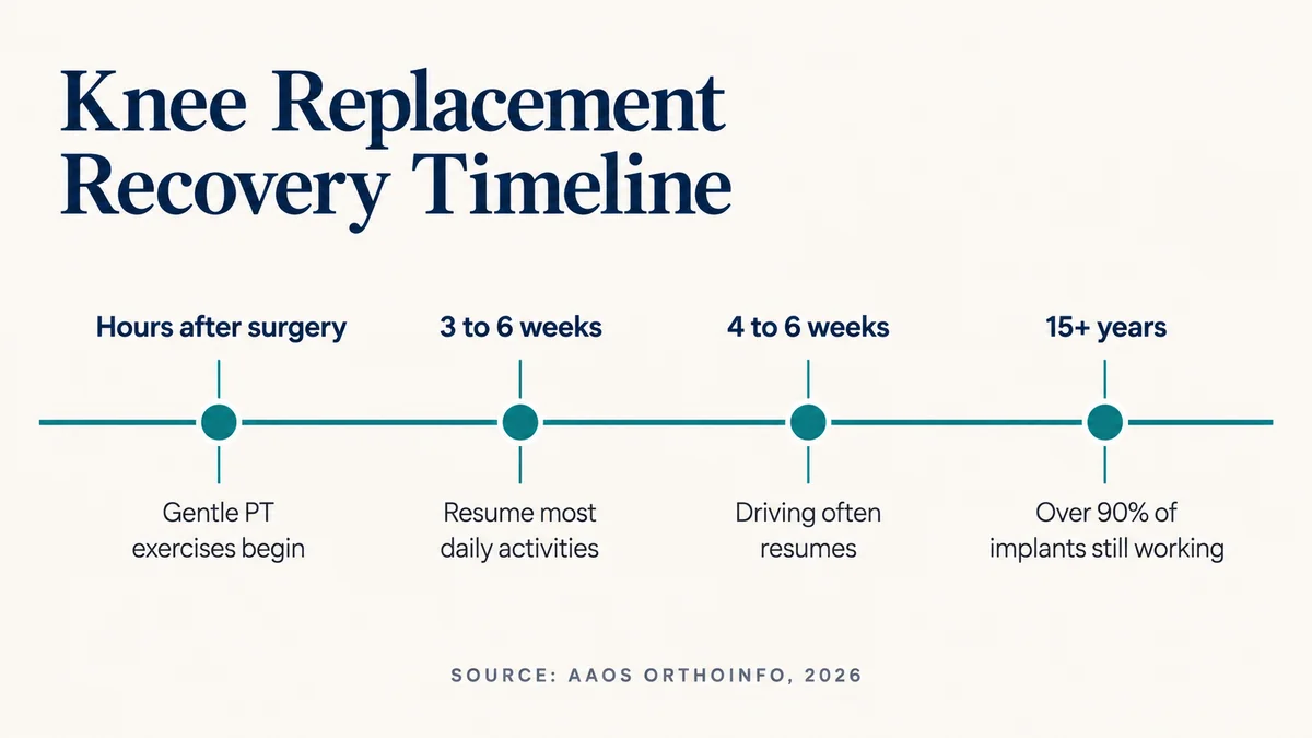 Knee replacement recovery timeline: gentle PT begins hours after surgery, most daily activities resume in 3 to 6 weeks, driving often at 4 to 6 weeks, and over 90 percent of implants still work at 15 years