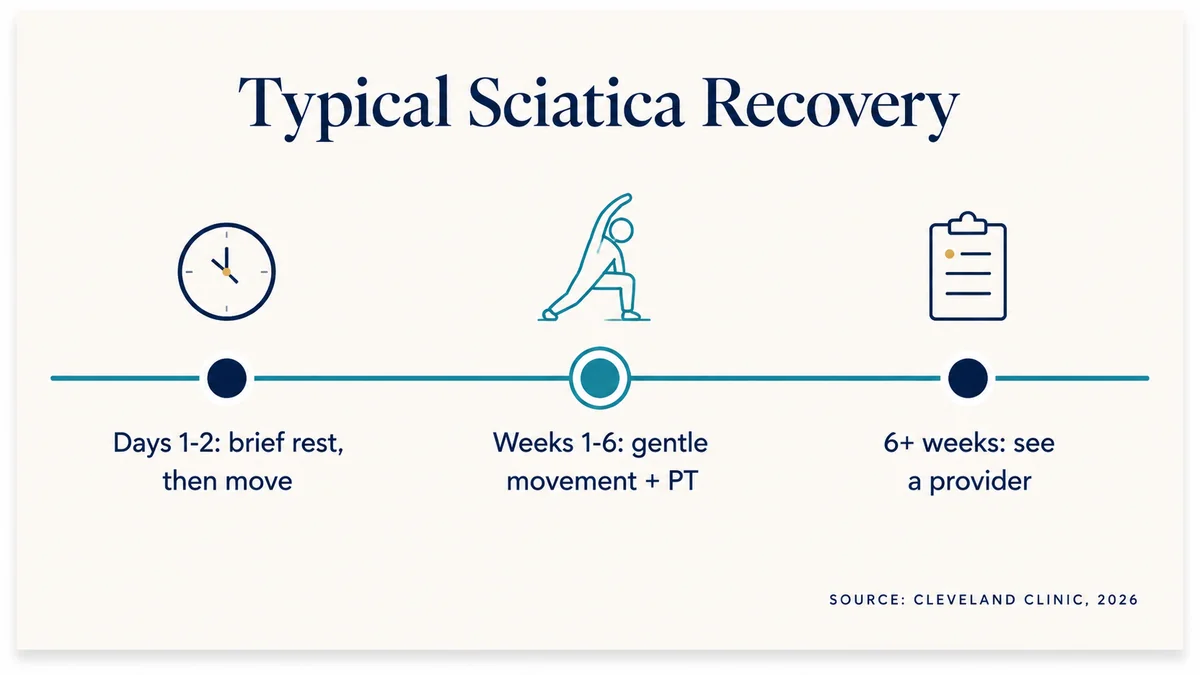 Sciatica recovery timeline: brief rest in days one to two, gentle movement and PT through weeks one to six, see a provider after six weeks
